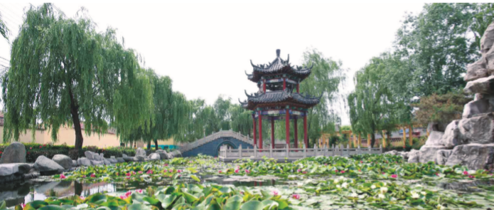 《中国名村志?万家村志》